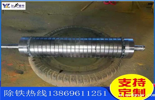 湖北永磁辊式磁选机